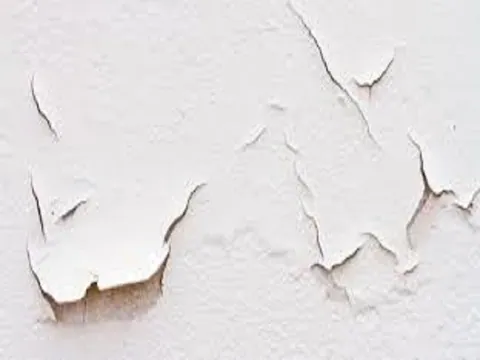 Hides wall defects