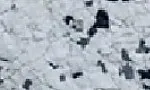DP-S01