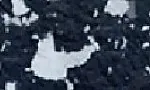 DP-S05