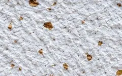 DP09