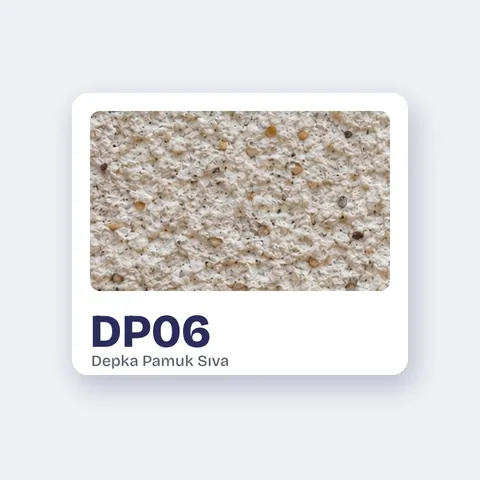 DP06