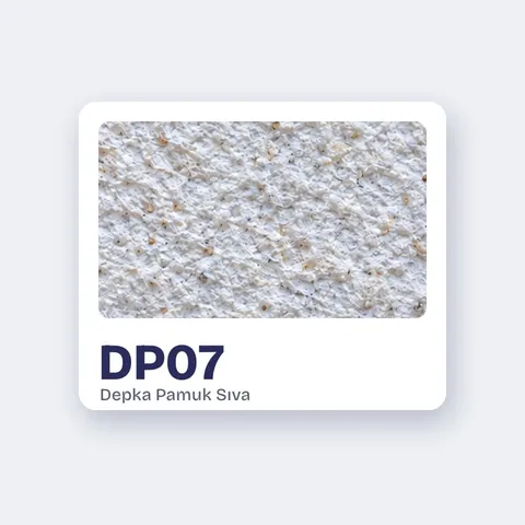 DP07