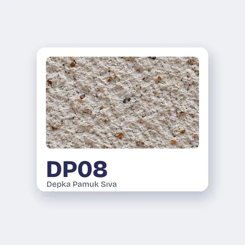 DP08