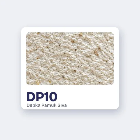 DP10