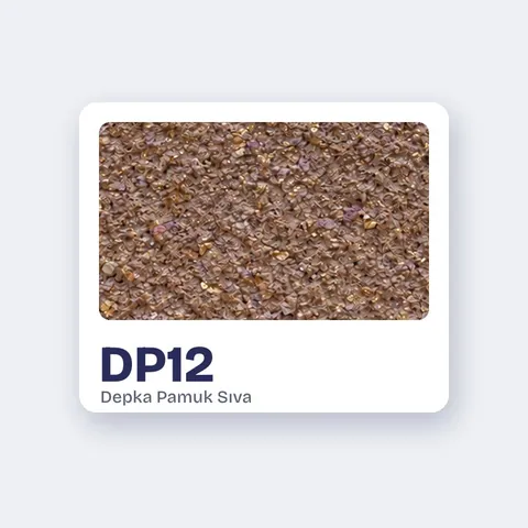 DP12