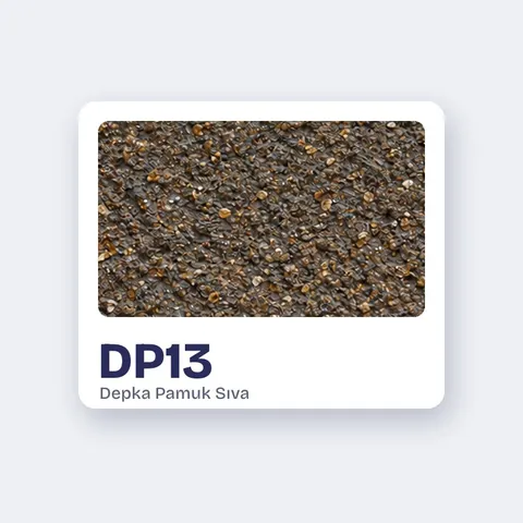 DP13