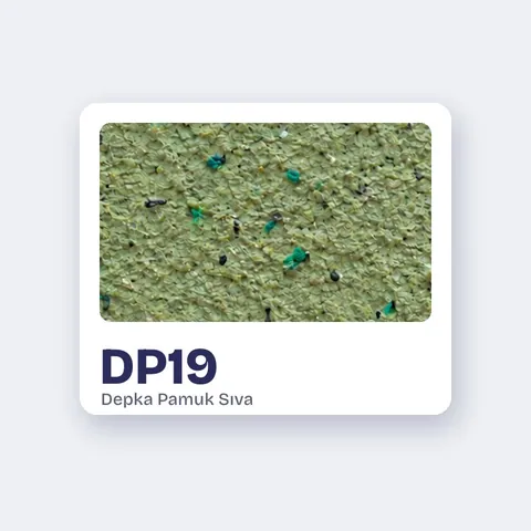 DP19
