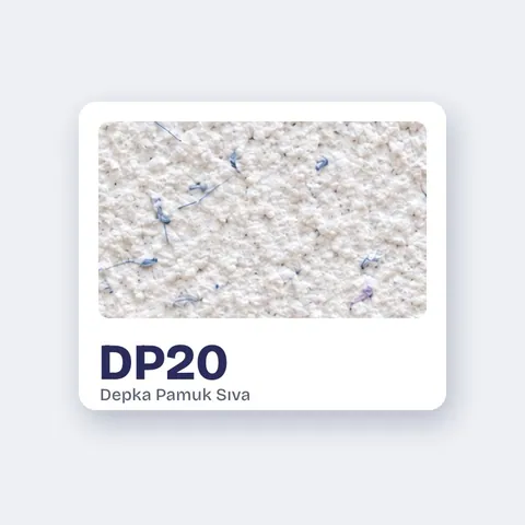 DP20
