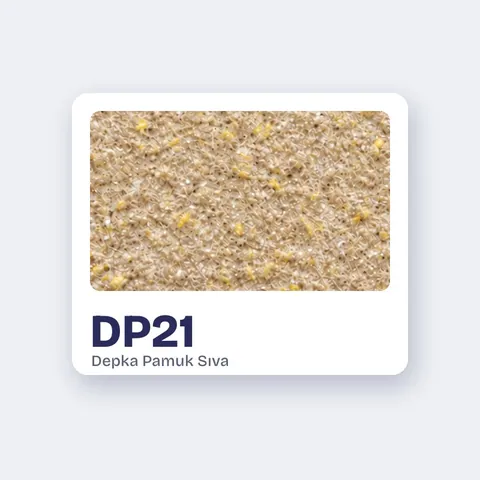 DP21