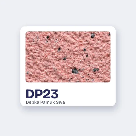 DP23