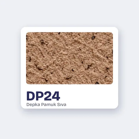 DP24