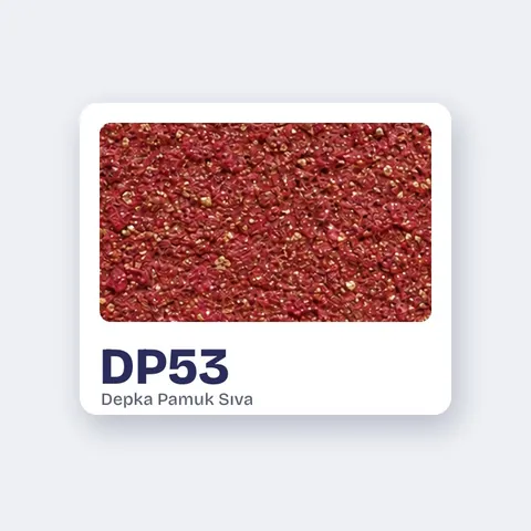 DP53