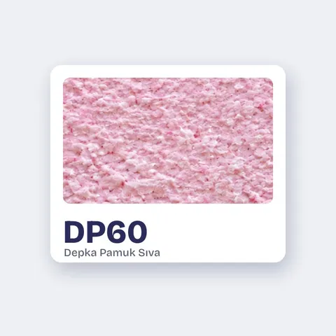 DP60