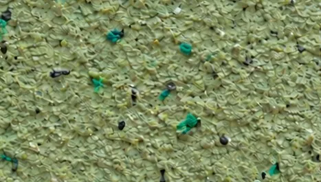 DP19 cotton plaster texture close-up